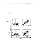 METHOD OF IDENTIFYING COMPOUNDS THAT BIND BAFF-R diagram and image