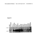 METHOD OF IDENTIFYING COMPOUNDS THAT BIND BAFF-R diagram and image