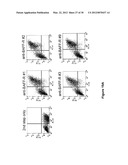 METHOD OF IDENTIFYING COMPOUNDS THAT BIND BAFF-R diagram and image