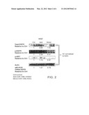 METHODS AND COMPOSITIONS FOR TREATING CANCER diagram and image