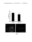 BRAIN-DERIVED GONADOTROPINS AND COGNITION diagram and image