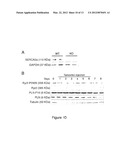 METHODS AND COMPOSITIONS FOR MODULATING CARDIAC CONTRACTILITY diagram and image