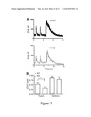 METHODS AND COMPOSITIONS FOR MODULATING CARDIAC CONTRACTILITY diagram and image