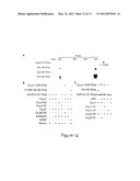 METHODS AND COMPOSITIONS FOR MODULATING CARDIAC CONTRACTILITY diagram and image