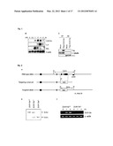 IMMUNOADJUVANT COMPOSITION AND USE THEREOF diagram and image