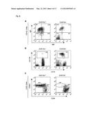 IMMUNOADJUVANT COMPOSITION AND USE THEREOF diagram and image