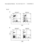 IMMUNOADJUVANT COMPOSITION AND USE THEREOF diagram and image