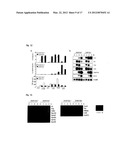 IMMUNOADJUVANT COMPOSITION AND USE THEREOF diagram and image