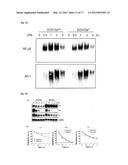 IMMUNOADJUVANT COMPOSITION AND USE THEREOF diagram and image