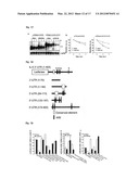 IMMUNOADJUVANT COMPOSITION AND USE THEREOF diagram and image