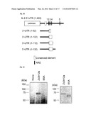 IMMUNOADJUVANT COMPOSITION AND USE THEREOF diagram and image