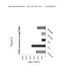 DENDRITIC CELL MODULATORY MOLECULE diagram and image