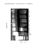 DENDRITIC CELL MODULATORY MOLECULE diagram and image