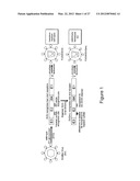 Targeted Gene Delivery to Dendritic Cells diagram and image