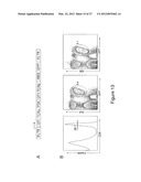 Targeted Gene Delivery to Dendritic Cells diagram and image