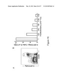 Targeted Gene Delivery to Dendritic Cells diagram and image