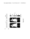 Targeted Gene Delivery to Dendritic Cells diagram and image