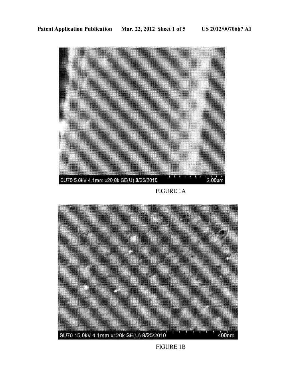 CARBON FIBER SUBSTRATES HAVING CARBON NANOTUBES GROWN THEREON AND     PROCESSES FOR PRODUCTION THEREOF - diagram, schematic, and image 02