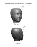 HEAD MODEL FOR BRAIN-IMAGING DEVICE AND TECHNIQUE FOR PRODUCING SAME diagram and image