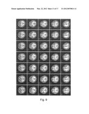 HEAD MODEL FOR BRAIN-IMAGING DEVICE AND TECHNIQUE FOR PRODUCING SAME diagram and image