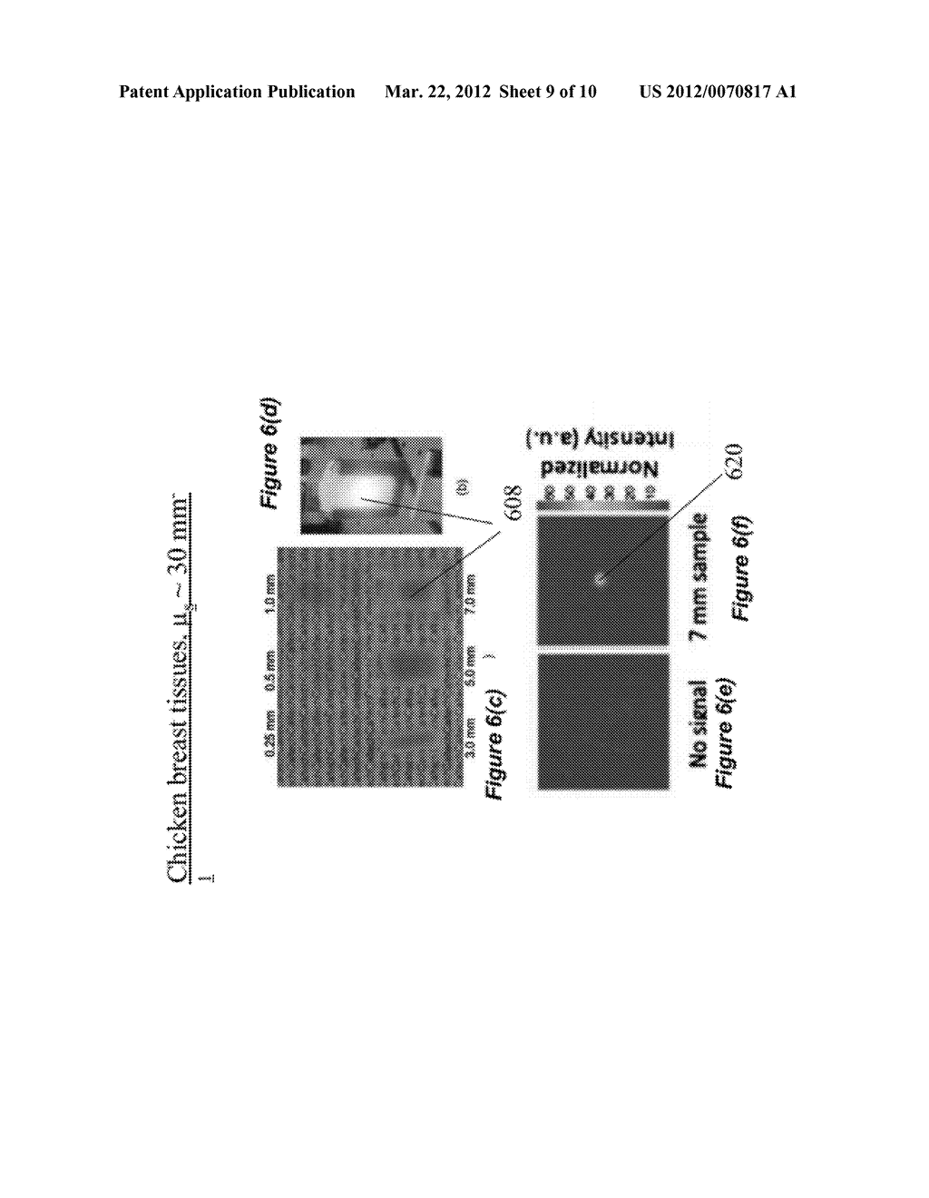 ACOUSTIC-ASSISTED ITERATIVE WAVE FORM OPTIMIZATION FOR DEEP TISSUE     FOCUSING - diagram, schematic, and image 10