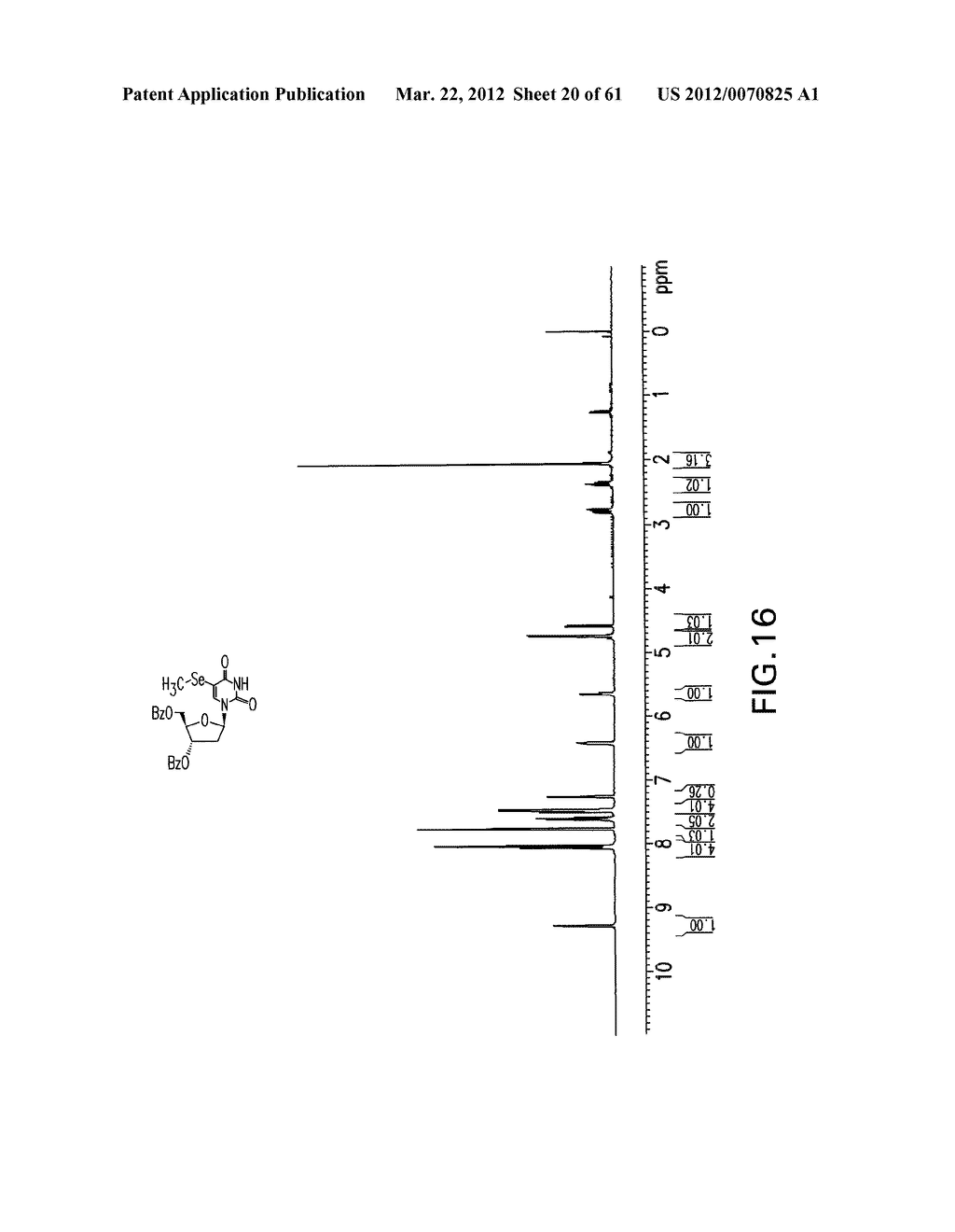 Novel Compounds and Derivatizations of DNAs and RNAs on the Nucleobases of     Pyrimidines for Function, Structure and Therapeutics - diagram, schematic, and image 21