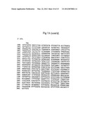 LAFORA S DISEASE GENE diagram and image