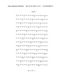 LAFORA S DISEASE GENE diagram and image