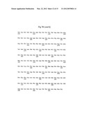 LAFORA S DISEASE GENE diagram and image