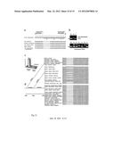 LAFORA S DISEASE GENE diagram and image