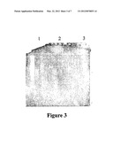 Method of Cloning Stable Stress Tolerant Superoxide Dismutase Using     Universal Primers diagram and image