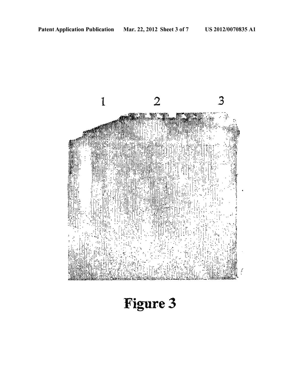 Method of Cloning Stable Stress Tolerant Superoxide Dismutase Using     Universal Primers - diagram, schematic, and image 04