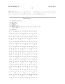 Method For Detecting And Purifying Pancreatic Beta Cells diagram and image