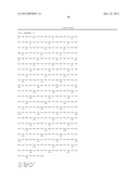 Method For Detecting And Purifying Pancreatic Beta Cells diagram and image