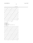 Method For Detecting And Purifying Pancreatic Beta Cells diagram and image