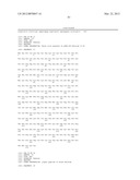 Method For Detecting And Purifying Pancreatic Beta Cells diagram and image