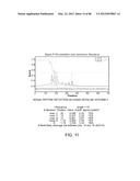 Method For Detecting And Purifying Pancreatic Beta Cells diagram and image