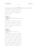 Method For Detecting And Purifying Pancreatic Beta Cells diagram and image