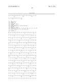 Method For Detecting And Purifying Pancreatic Beta Cells diagram and image