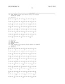 Method For Detecting And Purifying Pancreatic Beta Cells diagram and image