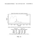 Method For Detecting And Purifying Pancreatic Beta Cells diagram and image