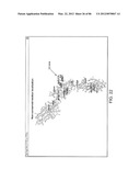 Method For Detecting And Purifying Pancreatic Beta Cells diagram and image