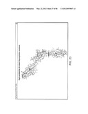 Method For Detecting And Purifying Pancreatic Beta Cells diagram and image