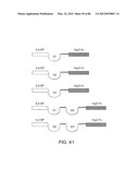 Method For Detecting And Purifying Pancreatic Beta Cells diagram and image