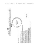 Method For Detecting And Purifying Pancreatic Beta Cells diagram and image