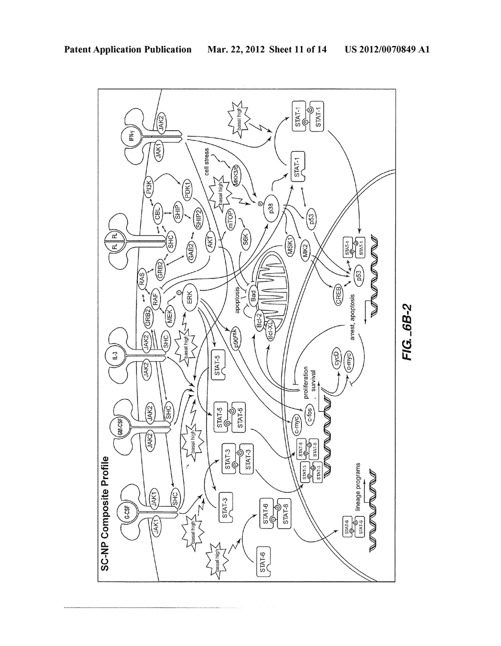 METHODS AND COMPOSITIONS FOR RISK STRATIFICATION - diagram, schematic, and image 12