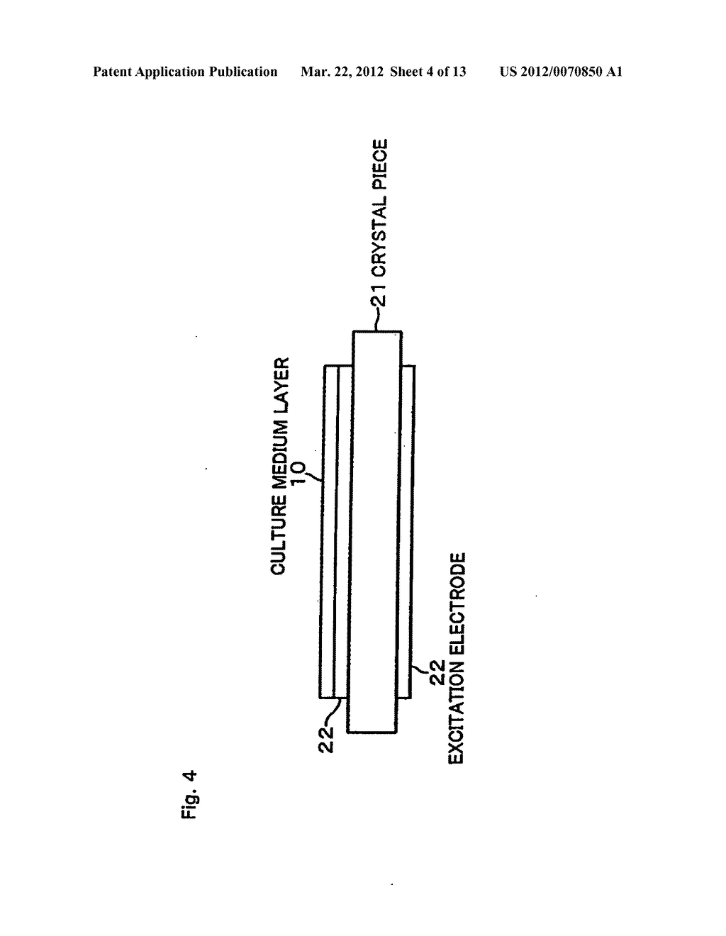 Method for detecting microorganisms and microorganism detecting apparatus - diagram, schematic, and image 05