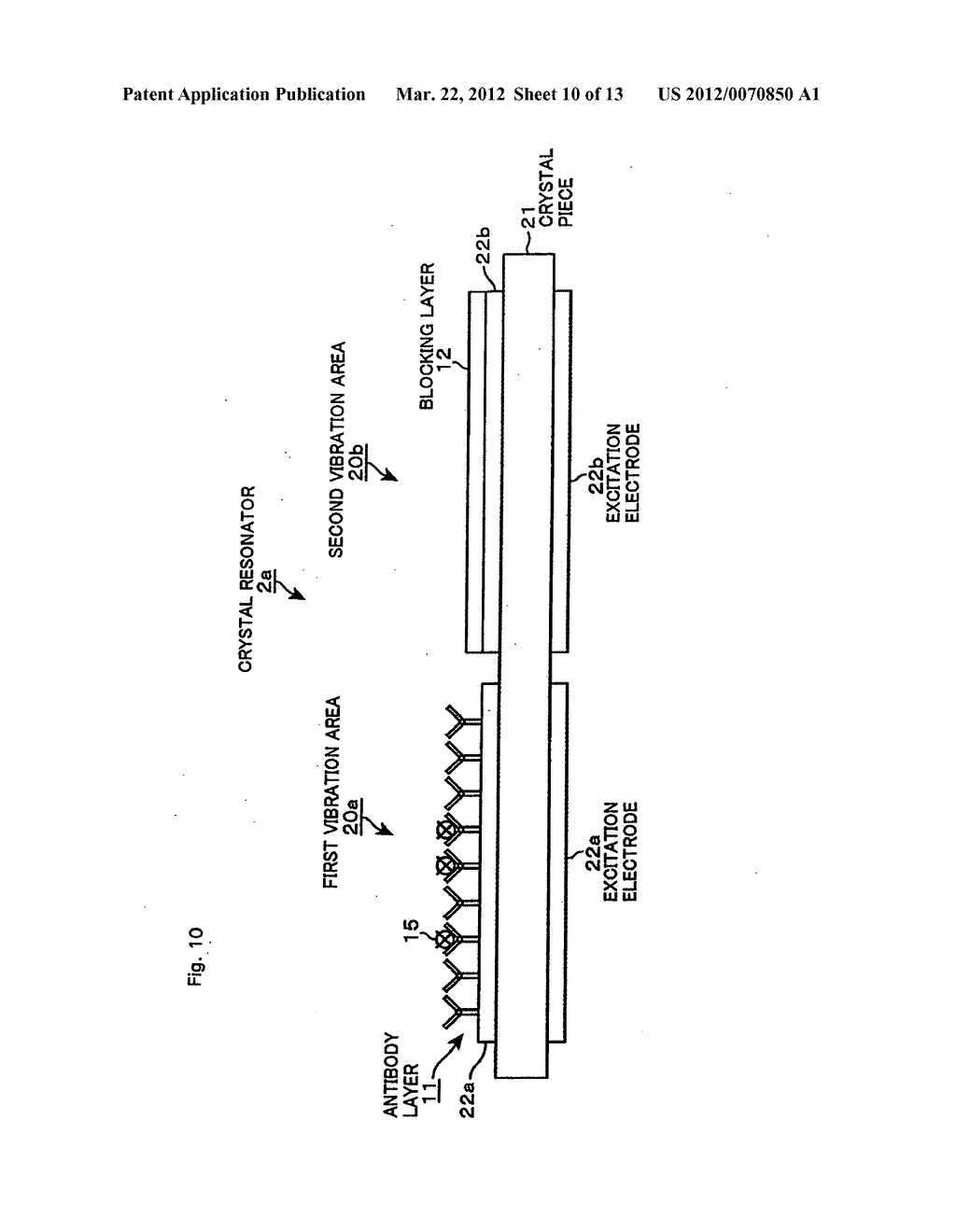 Method for detecting microorganisms and microorganism detecting apparatus - diagram, schematic, and image 11