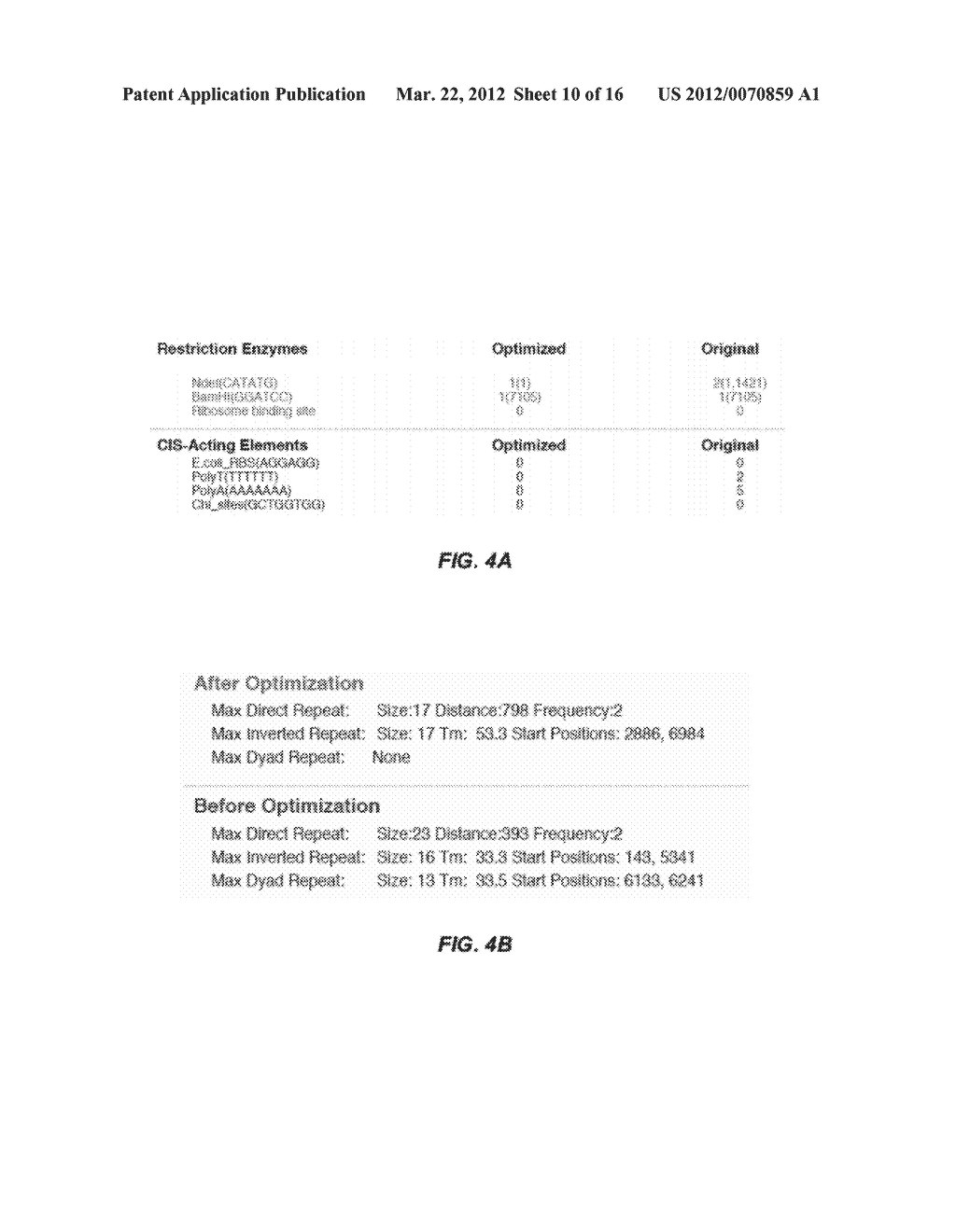 BACTERIAL CELLS, OPTIMIZED NUCLEOTIDE SEQUENCES AND METHODS FOR IMPROVED     EXPRESSION OF RECOMBINANT CLOSTRIDIUM DIFFICILE TOXIN B - diagram, schematic, and image 11