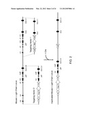 Human Lambda Light Chain Mice diagram and image